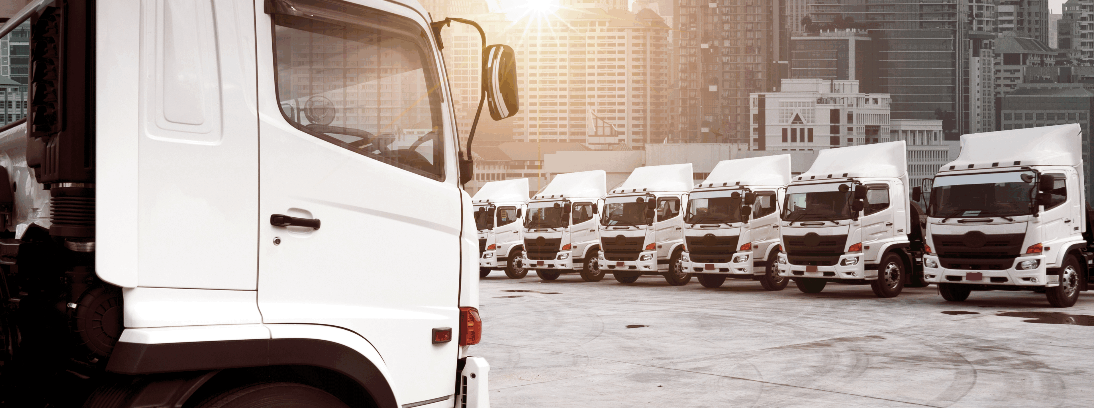 Road transport fleet